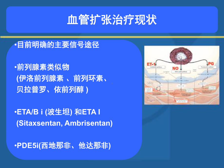 肺动脉高压的新型分子靶点治疗的临床研究进展课件.ppt_第2页