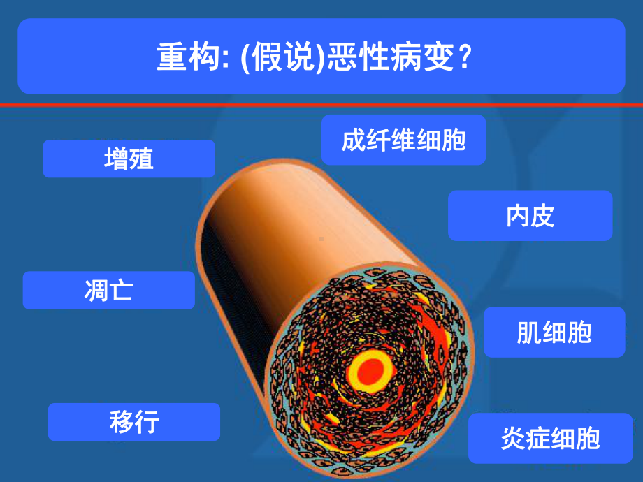 肺动脉高压的新型分子靶点治疗的临床研究进展课件.ppt_第3页