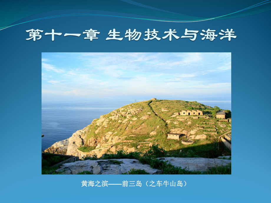 生物技术与海洋课件.ppt_第1页