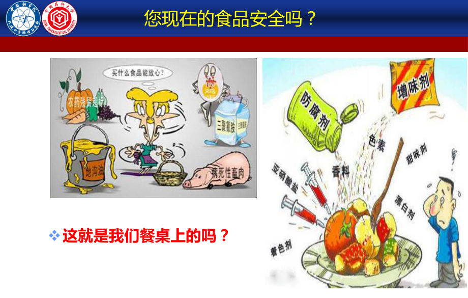 食品安全与壳寡糖产业课件.ppt_第2页