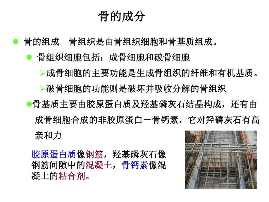 骨代谢紊乱试验诊断课件.ppt_第3页