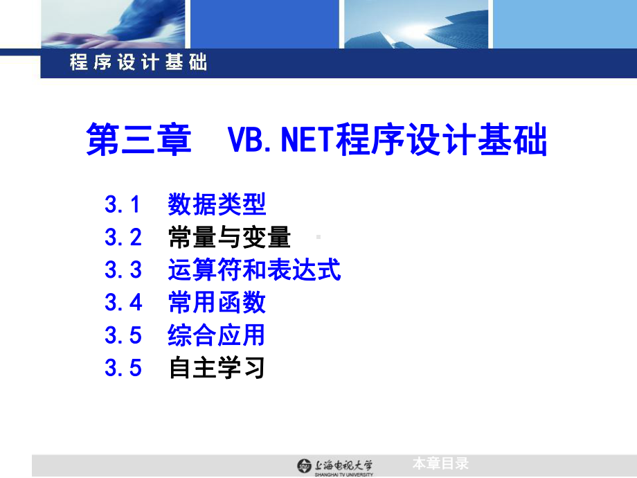 第三章VBNET程序设计基础-.ppt_第2页