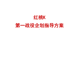 红桃k第一战役企划指导方案.ppt