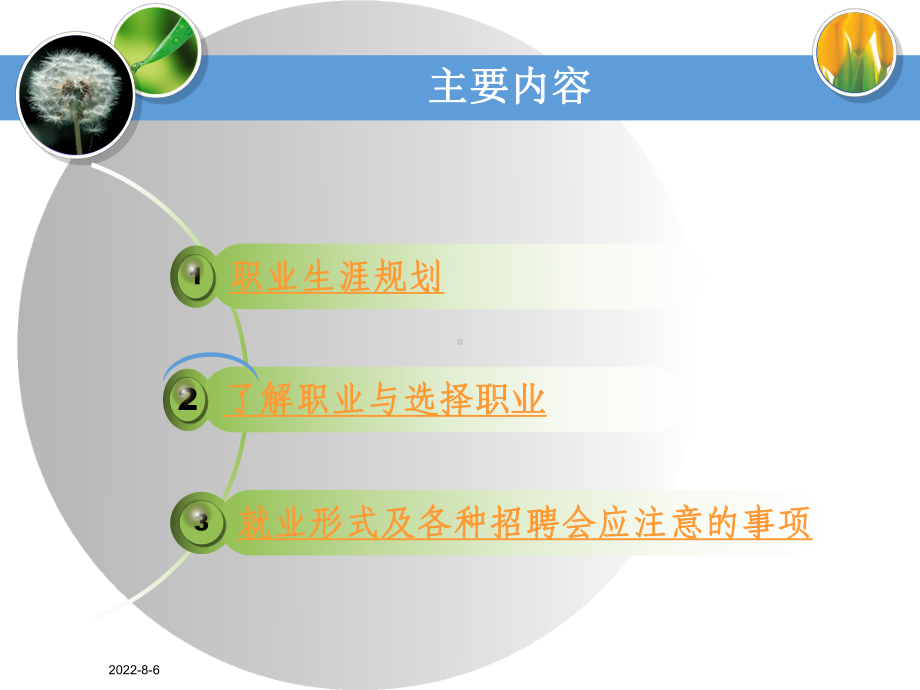 职业生涯规划的步骤与内容-.ppt_第2页