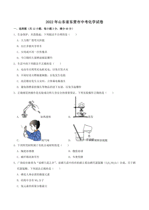 2022年山东省东营市中考化学真题.docx