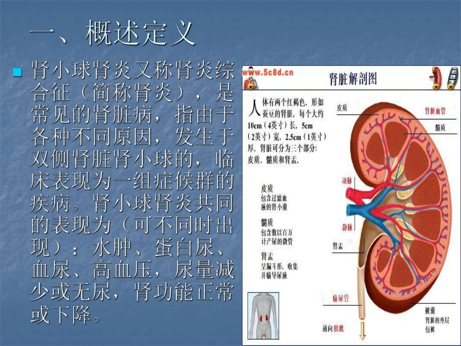 肾小球肾炎的护理查房课件.ppt_第3页