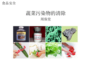 食品安全-蔬菜污染物的清洗课件.ppt