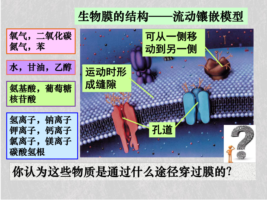 第3节-基于核心素养下设计-物质跨膜运输的方式.ppt_第2页