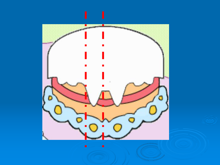 认识分数课件.ppt_第3页