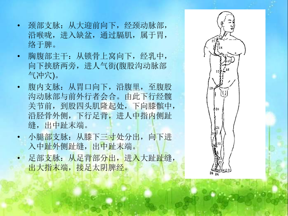 足阳胃经-PPT课件.ppt_第3页