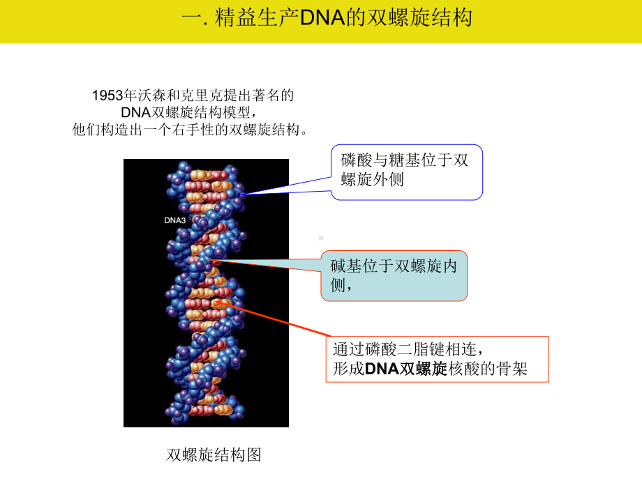 精益生产的14项管理原则课件.ppt_第3页