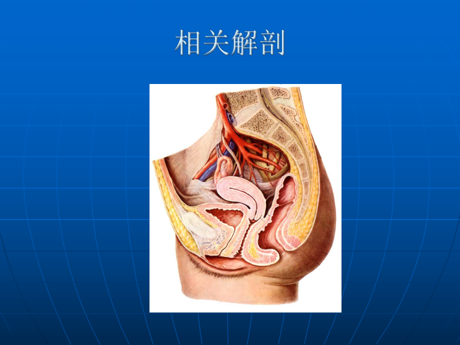 阴式子宫次全切除术病例手术解析课件.ppt_第2页