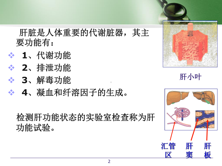 肝病常用试验室检查课件.ppt_第2页