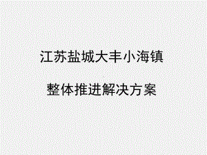 江苏盐城某镇整体推进方案.ppt