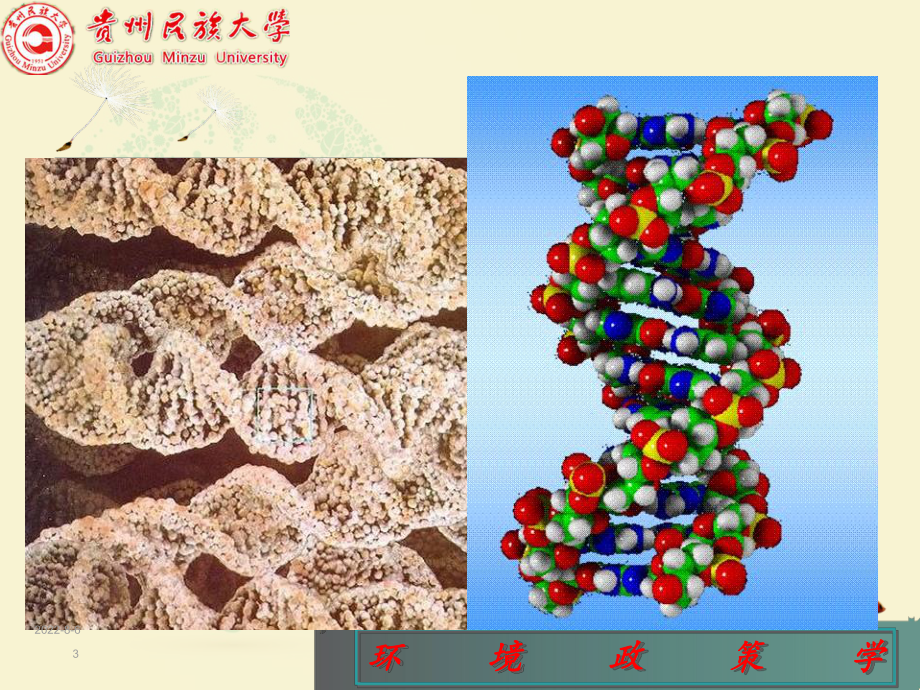 转基因与我国的环境政策课件.ppt_第3页