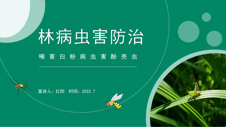 专家讲座分享2022农林病虫害防治动态PPT模板.pptx_第1页