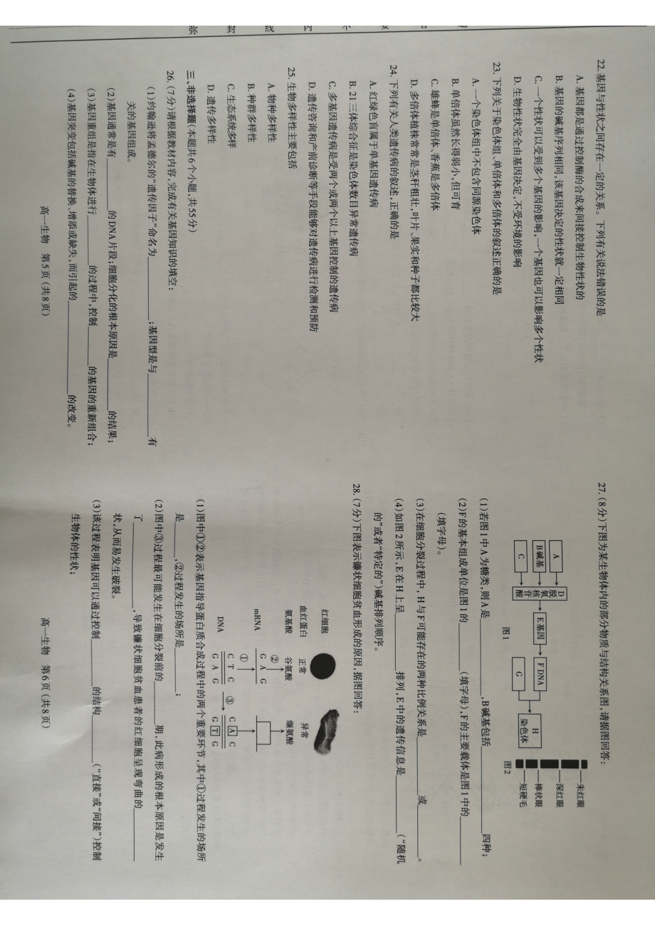 山西省太原市2021-2022学年高一下学期期末考试生物试题.pdf_第3页