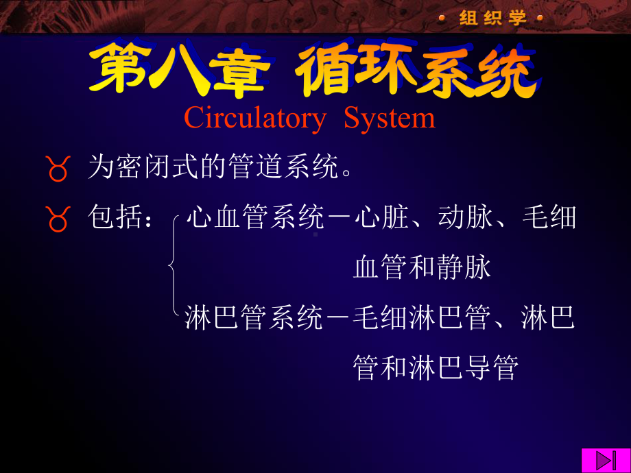 08WL循环系统课件.ppt_第1页