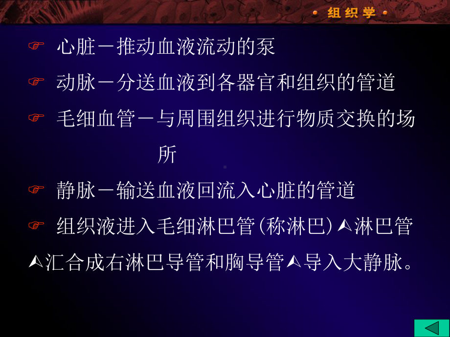 08WL循环系统课件.ppt_第3页