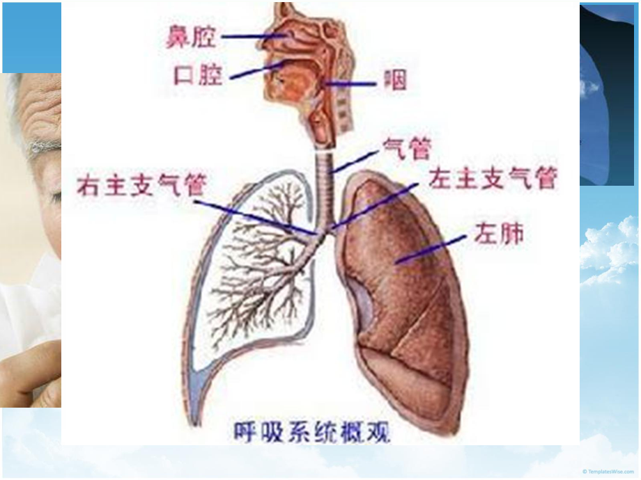 COPD健康宣教-课件.ppt_第2页