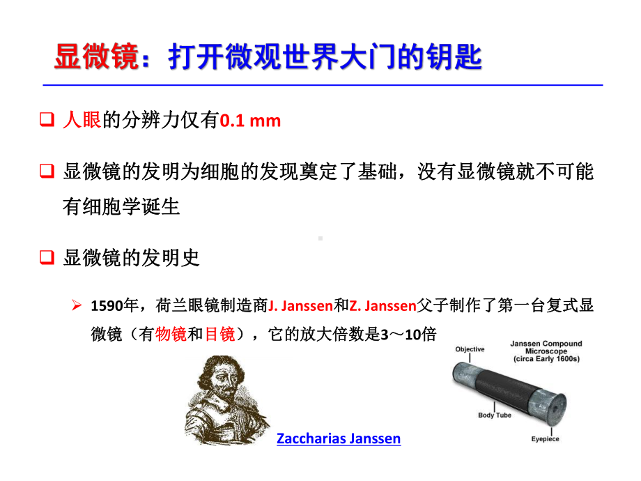 三细胞的基本形态结构与功能课件.ppt_第2页