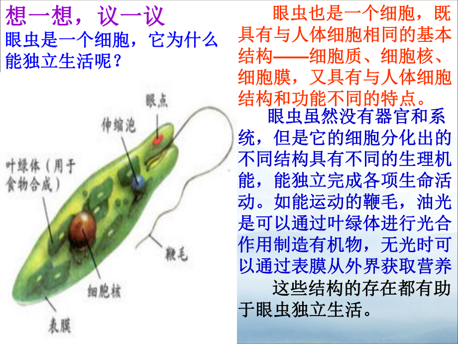 《单细胞生物》PPT课件(同名763).pptx_第2页