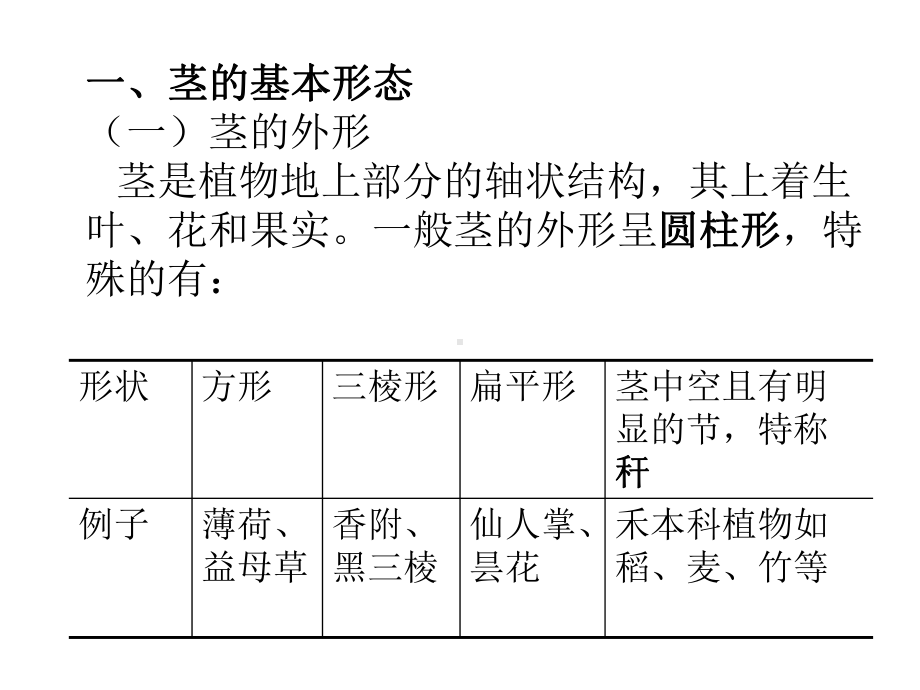 (完整版)第5章茎的形态构造课件.ppt_第3页