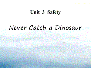 《Never-Catch-a-Dinosaur》Safety-PPT课件.pptx