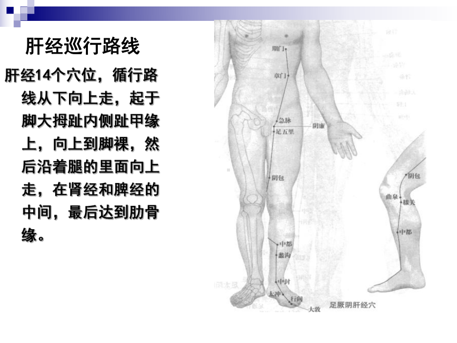 (中医中药)胆经肝经课件.ppt_第3页