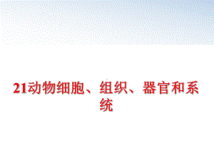 21动物细胞、组织、器官和系统课件.ppt