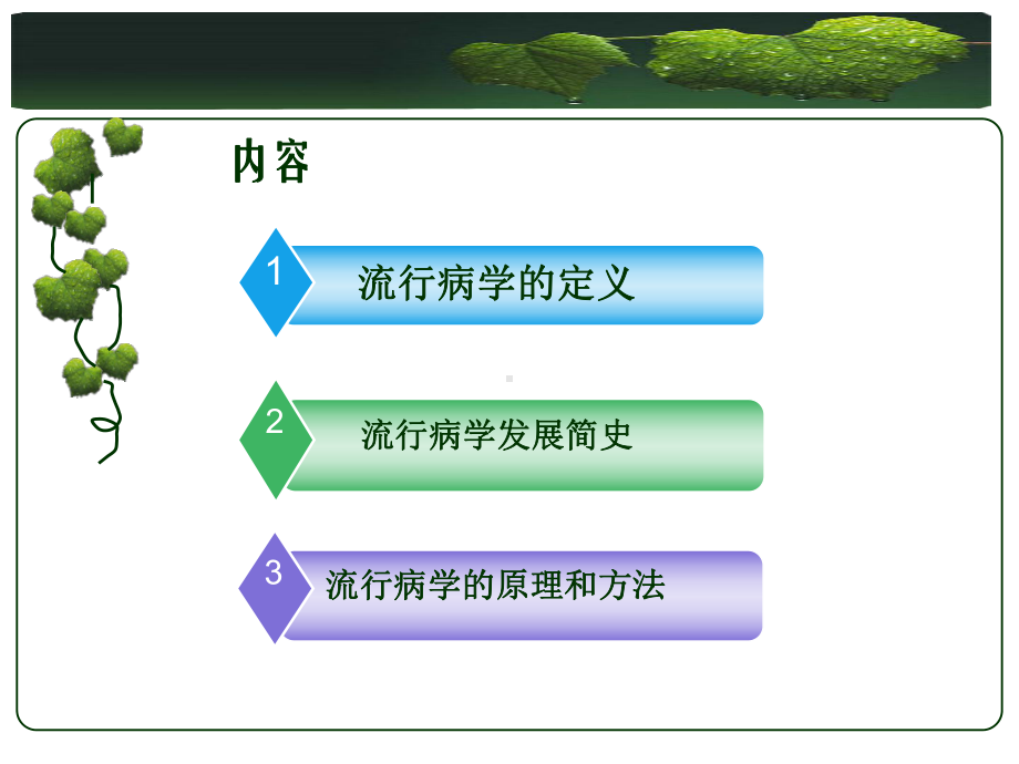 鼠蚤感染了鼠疫杆菌传给人类课件.ppt_第3页