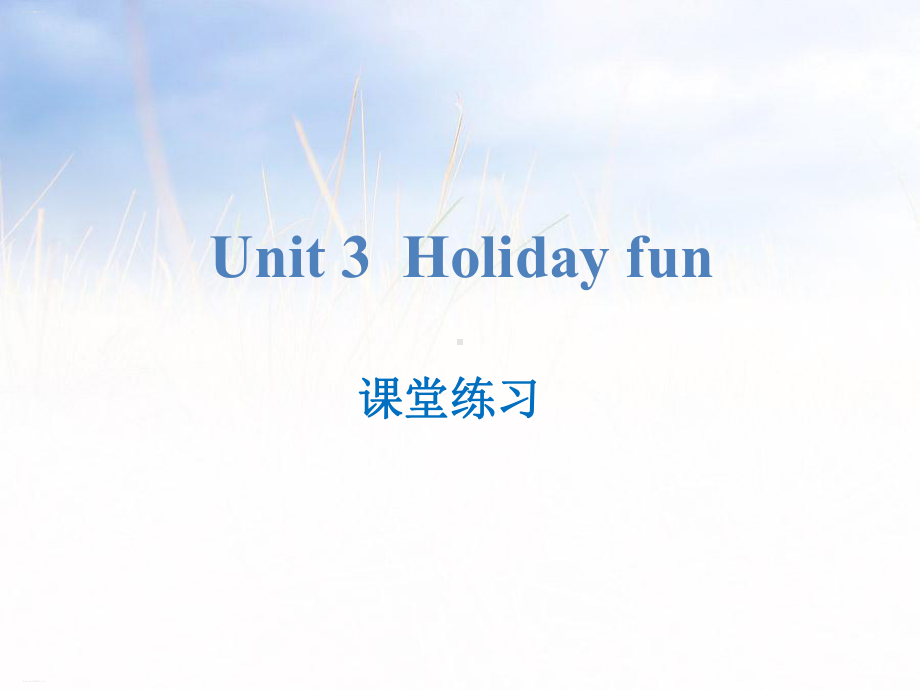 《Holidayfun》课堂练习(完美版)课件.pptx_第1页