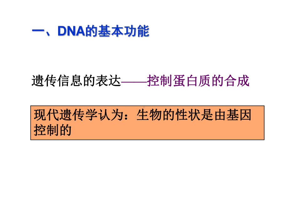 [理化生]《基因指导蛋白质的合成》课件.ppt_第3页