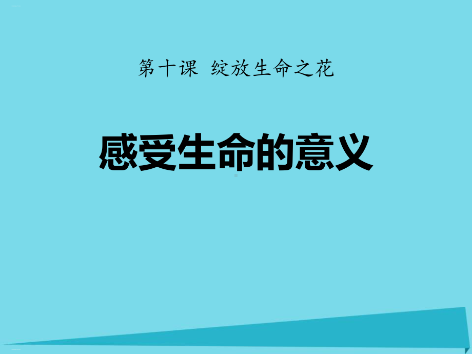 《感受生命的意义》PPT-完美版课件.pptx_第1页