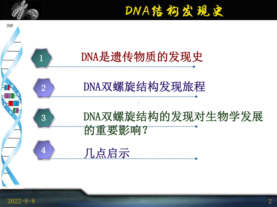 DNA双螺旋结构发现的历史与结构内容.课件.ppt_第2页