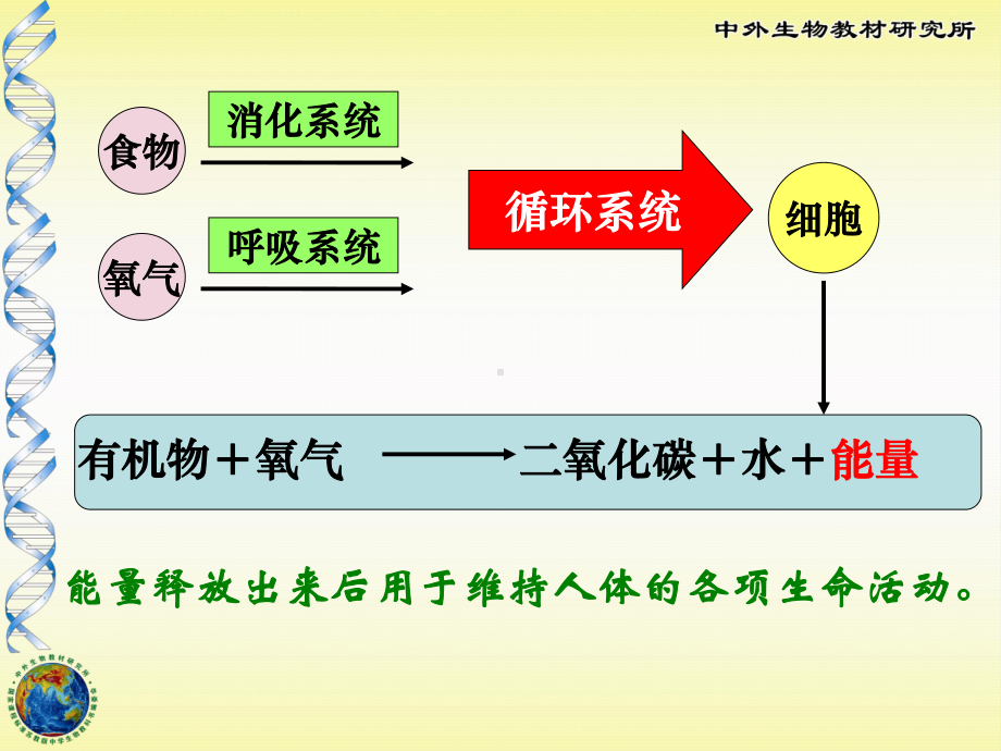 《人体能量的供给》课件.ppt_第2页