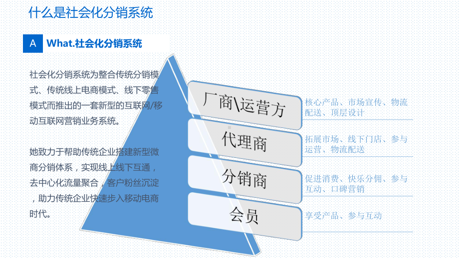 三级分销系统课件.ppt_第2页