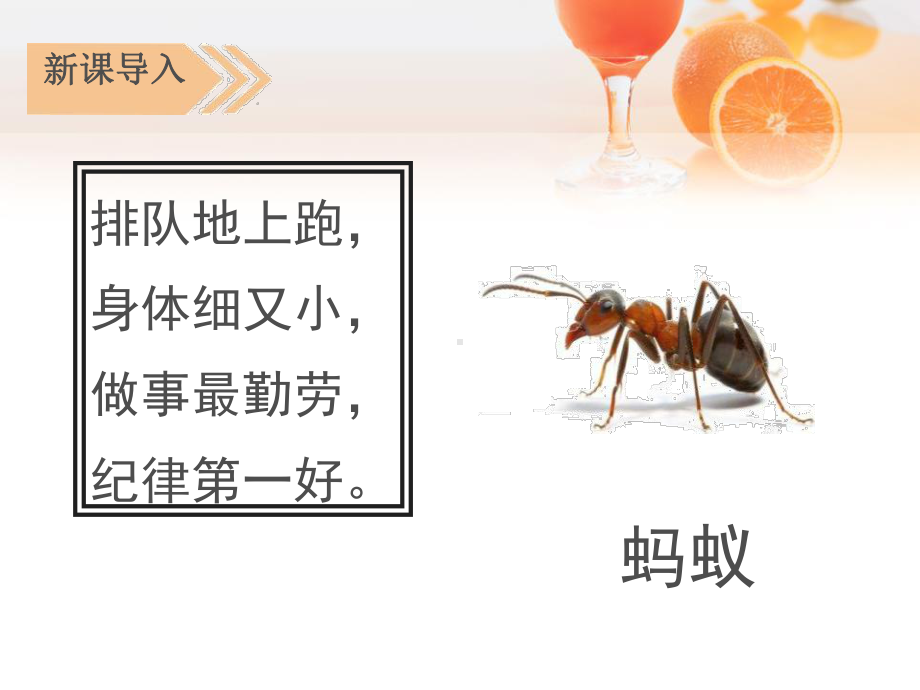 《一块奶酪》ppt实用课件.pptx_第2页