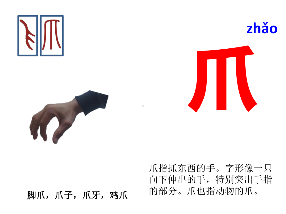 与“爪”有关的汉字课件.ppt_第1页