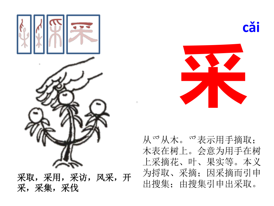 与“爪”有关的汉字课件.ppt_第2页