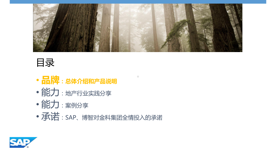 SAP人力资源信息系统建设方案讲标.pptx_第2页