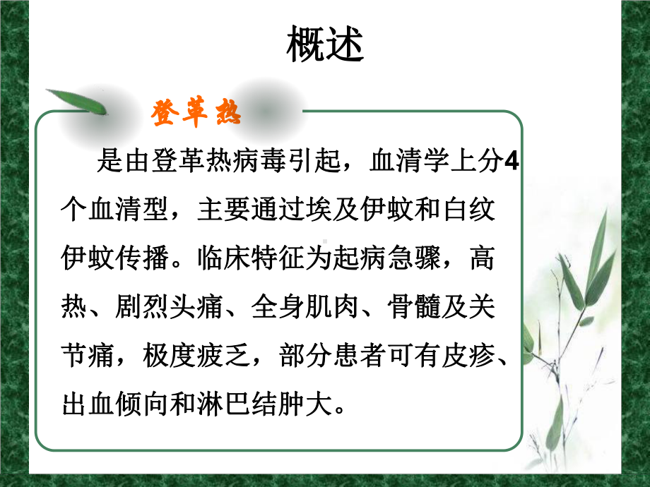 -登革热的预防和治疗-PPT课件.ppt_第2页