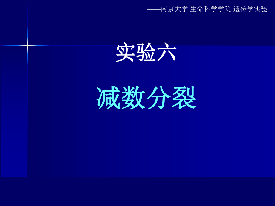（遗传学实验）实验六-减数分裂课件.ppt_第1页