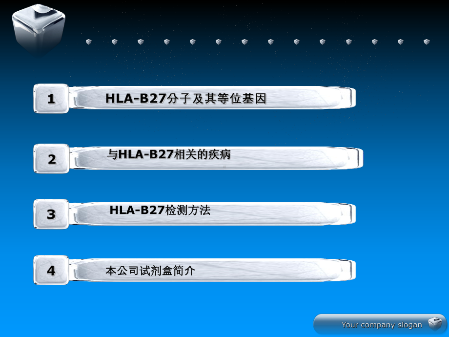 HLA-B27高分辨基因分型的临床-PPT精选课件.ppt_第2页