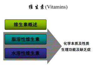 《生物化学》维生素课件.ppt