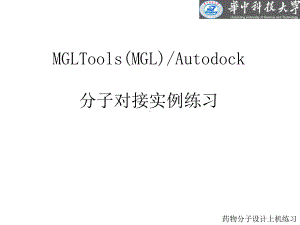 -prac1autok分子对接实例练习-PPT课件.ppt