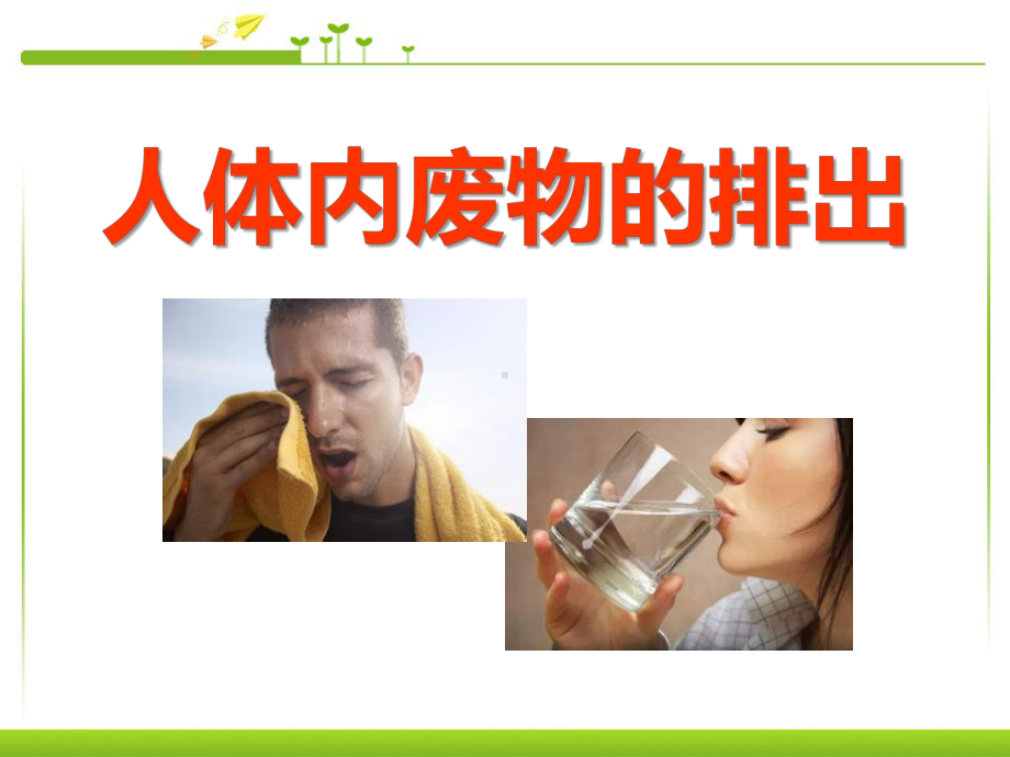 《人体内废物的排出》精品ppt课件6.ppt_第1页