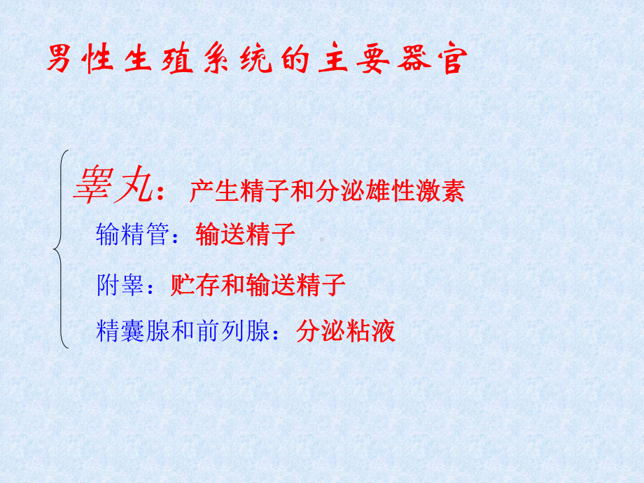 《人类的生殖和发育》课件.ppt_第2页