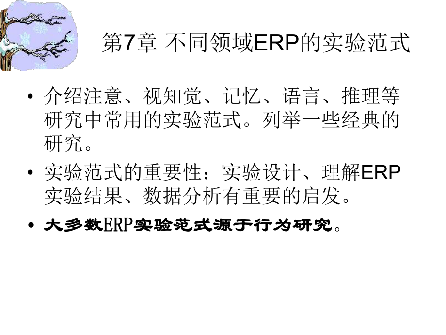 不同领域ERP的实验范式概论课件.pptx_第1页