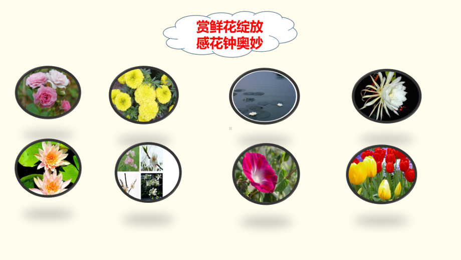 《花钟》PPT完美版部编版课件3.pptx_第2页